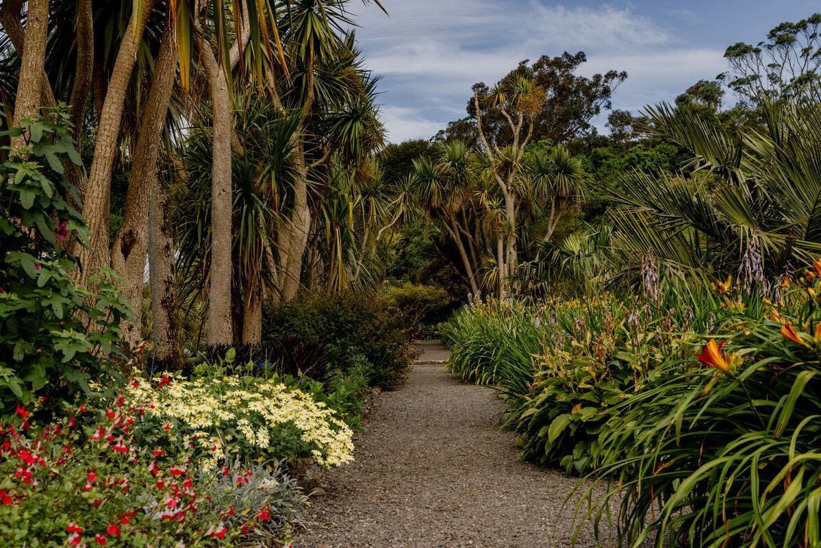 Garden view
